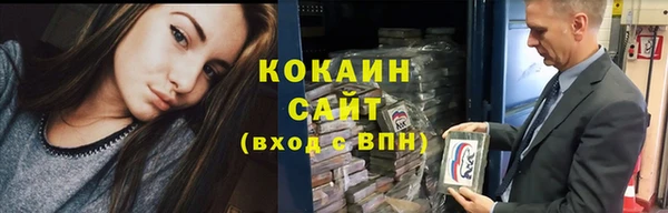 гашик Покровск