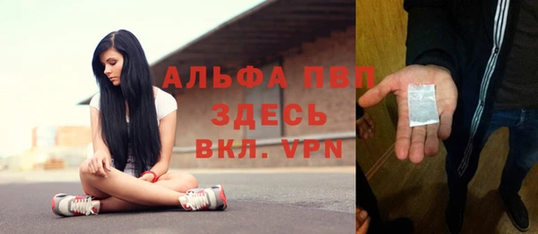 гашик Покровск