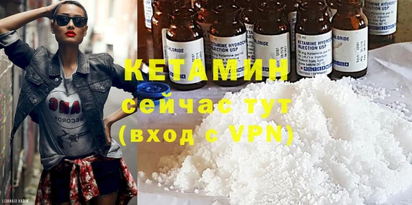 a pvp Болотное