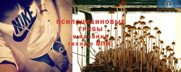гашик Покровск