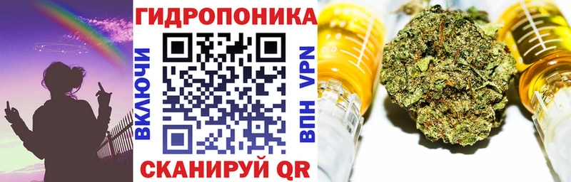 Канабис гибрид  Суджа 